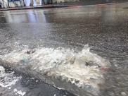 بالفيديو والصور: أمطار ورياح تخيّم على الأجواء في مدينة يافا 